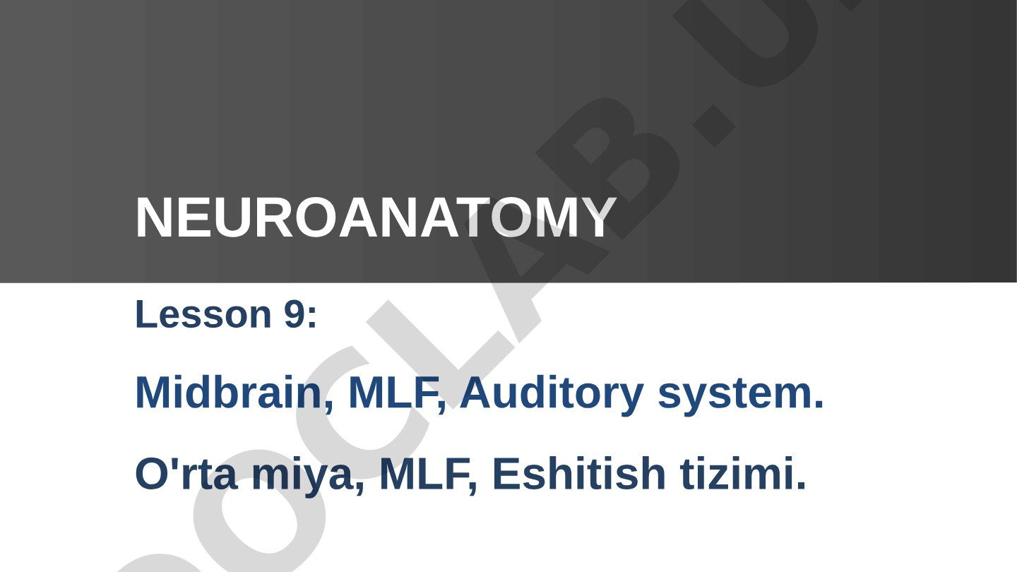 Lesson 9: Midbrain, MLF, Auditory system.