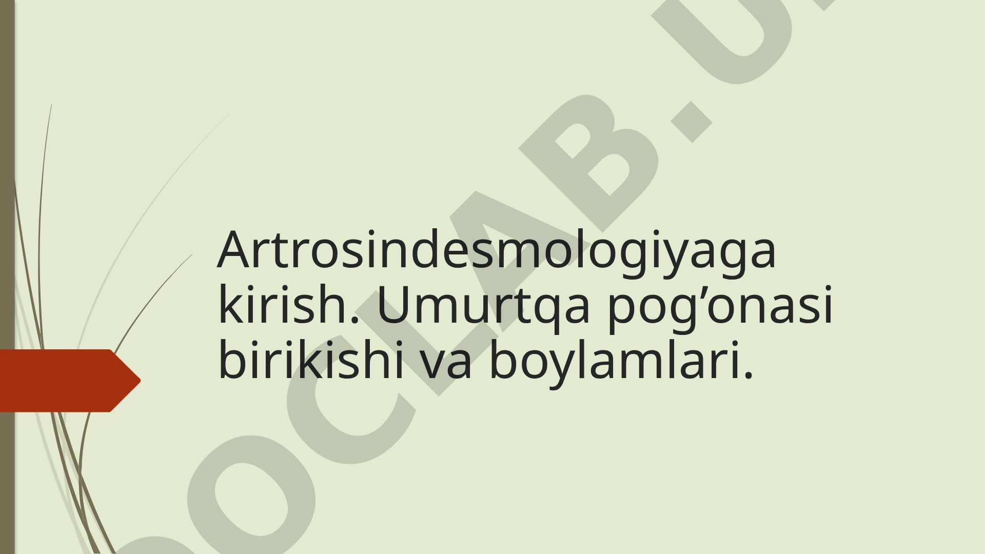 Artrosindesmologiyaga kirish. Umurtqa pog’onasi birikishi va boylamlari.