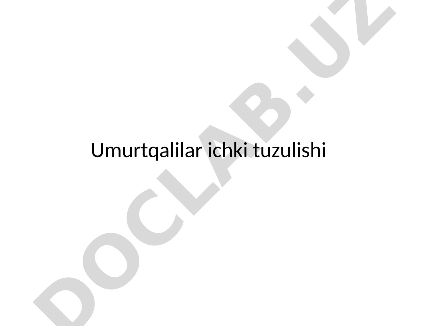 Umurtqalilarning ichki tuzilishi