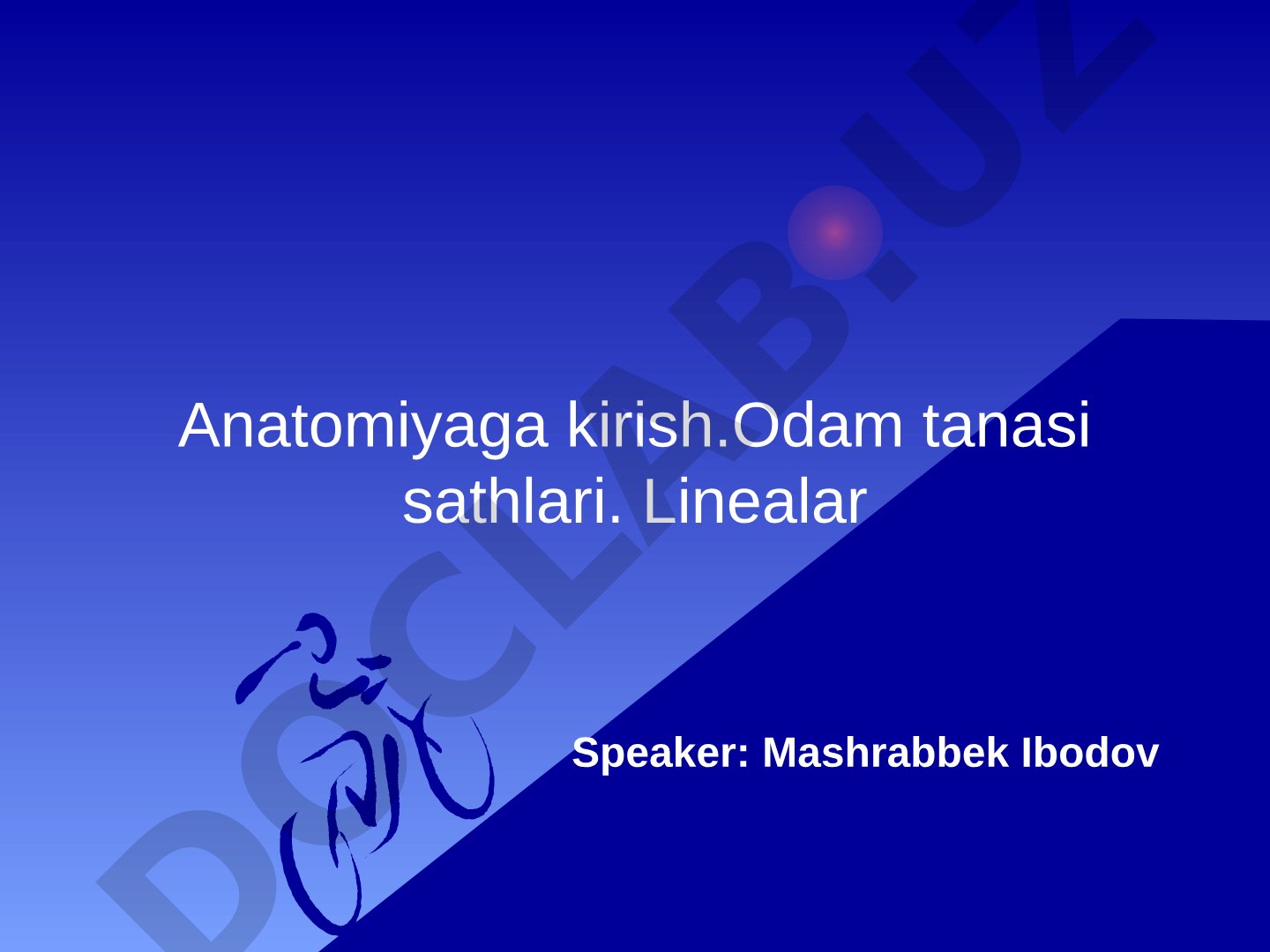 Anatomiyaga kirish. Odam tanasi sathlari. Linealar