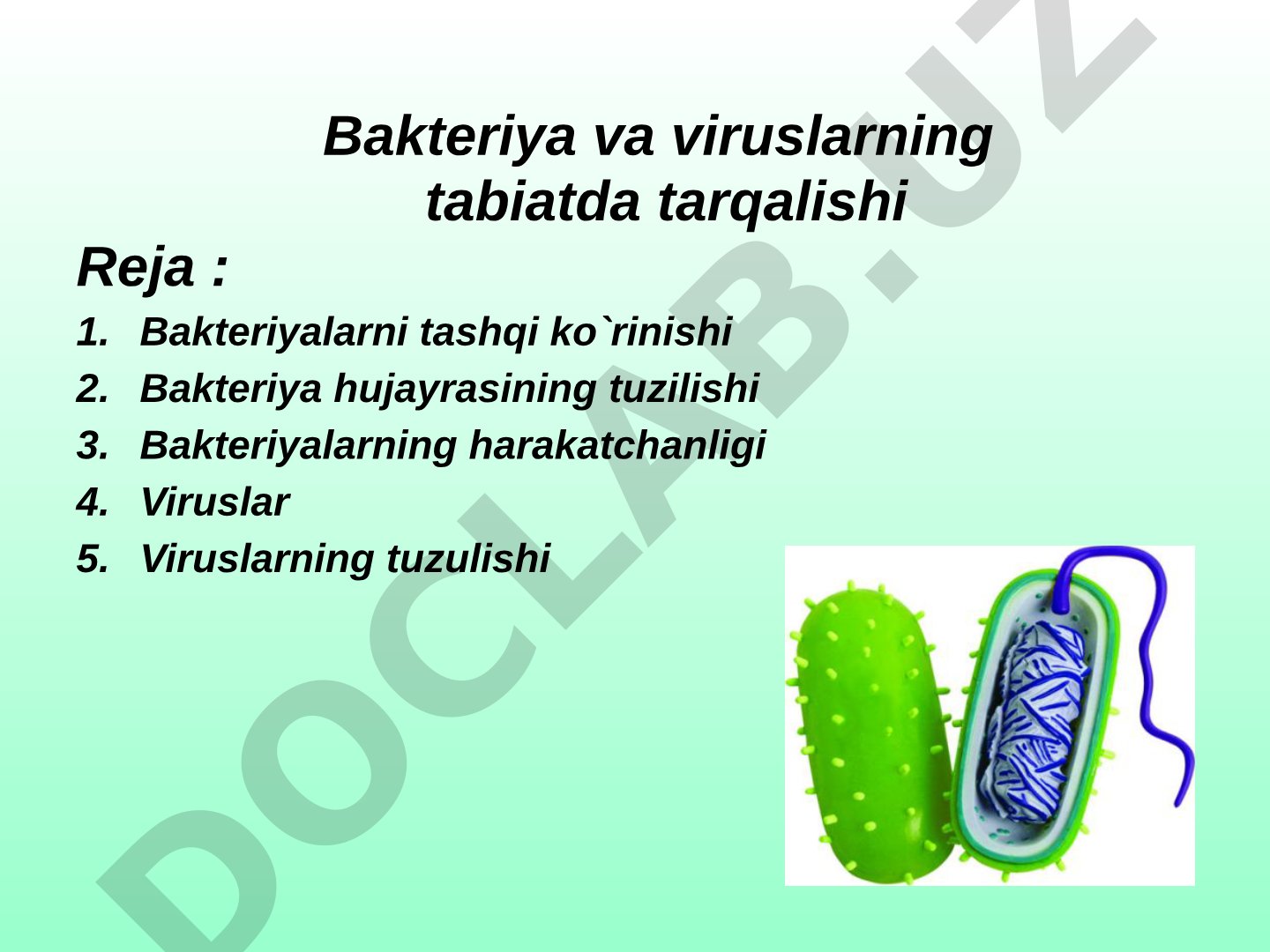 Bakteriya va viruslarning tabiatda tarqalishi