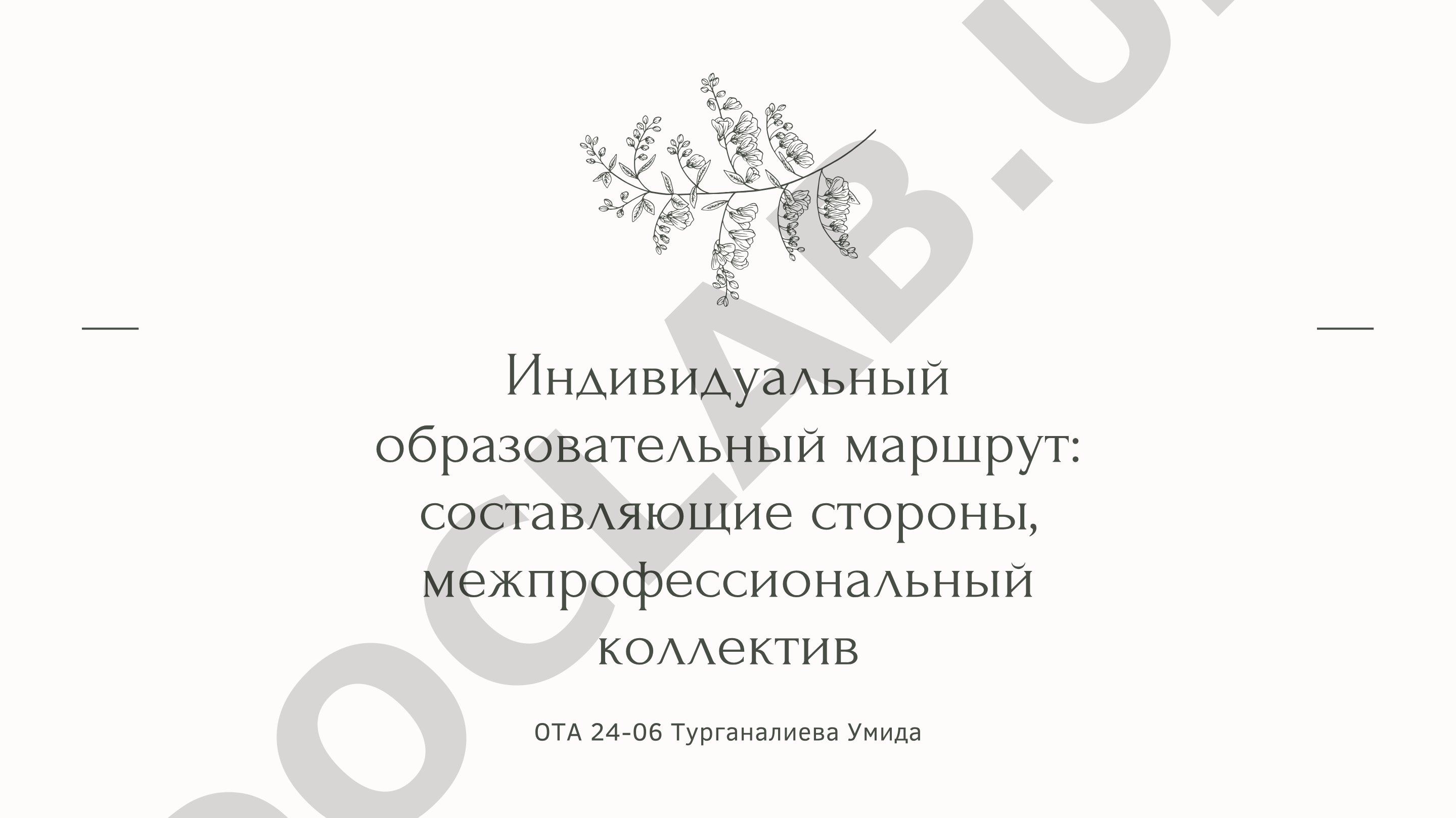 Индивидуальный образовательный маршрут: составляющие стороны и межпрофессиональный коллектив