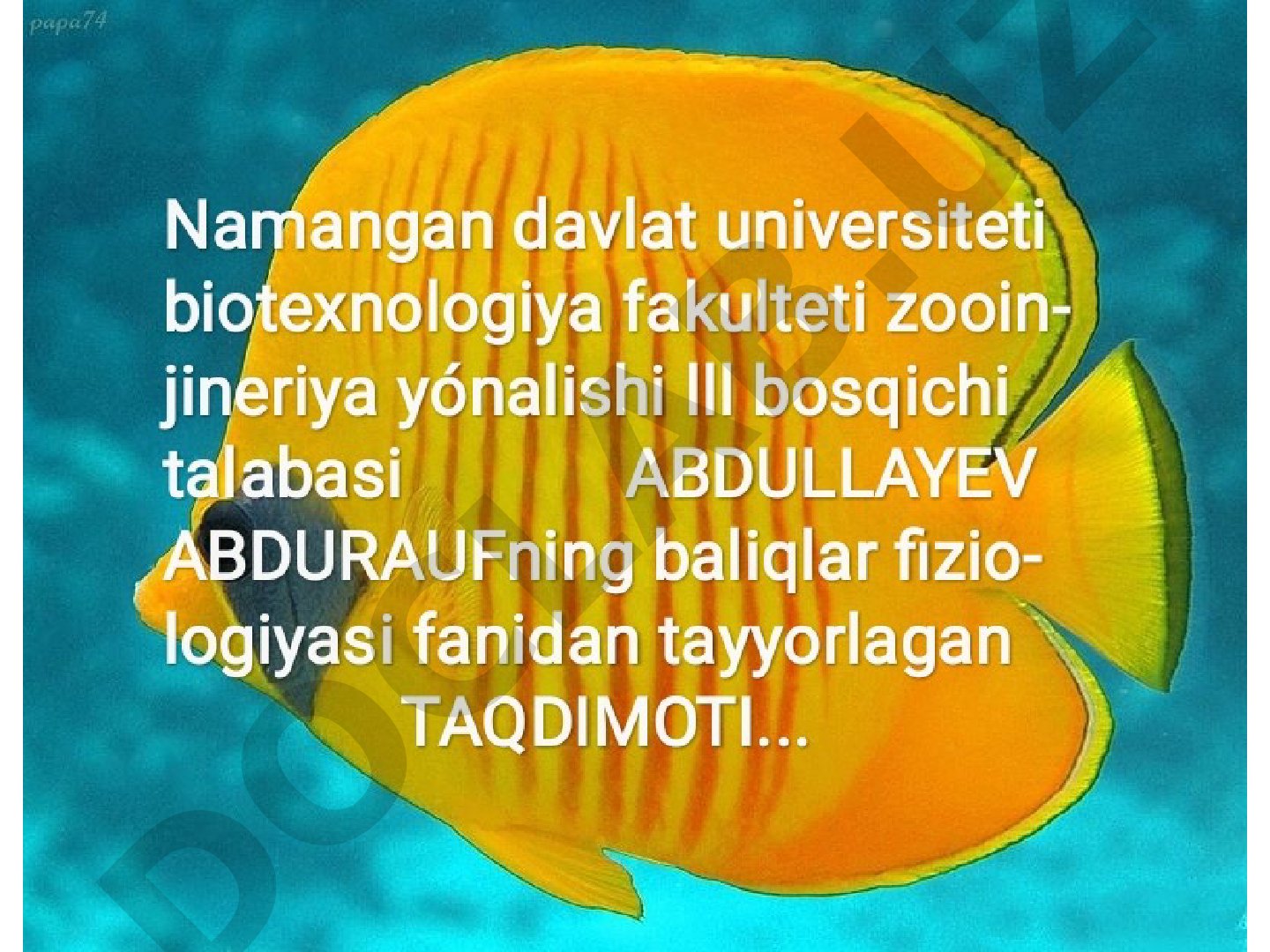 Qonning qon tomirlardagi harakatlanishi