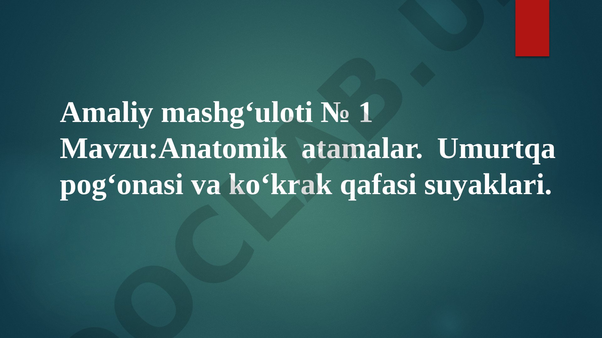 Anatomik atamalar. Umurtqa pog‘onasi va ko‘krak qafasi suyaklari
