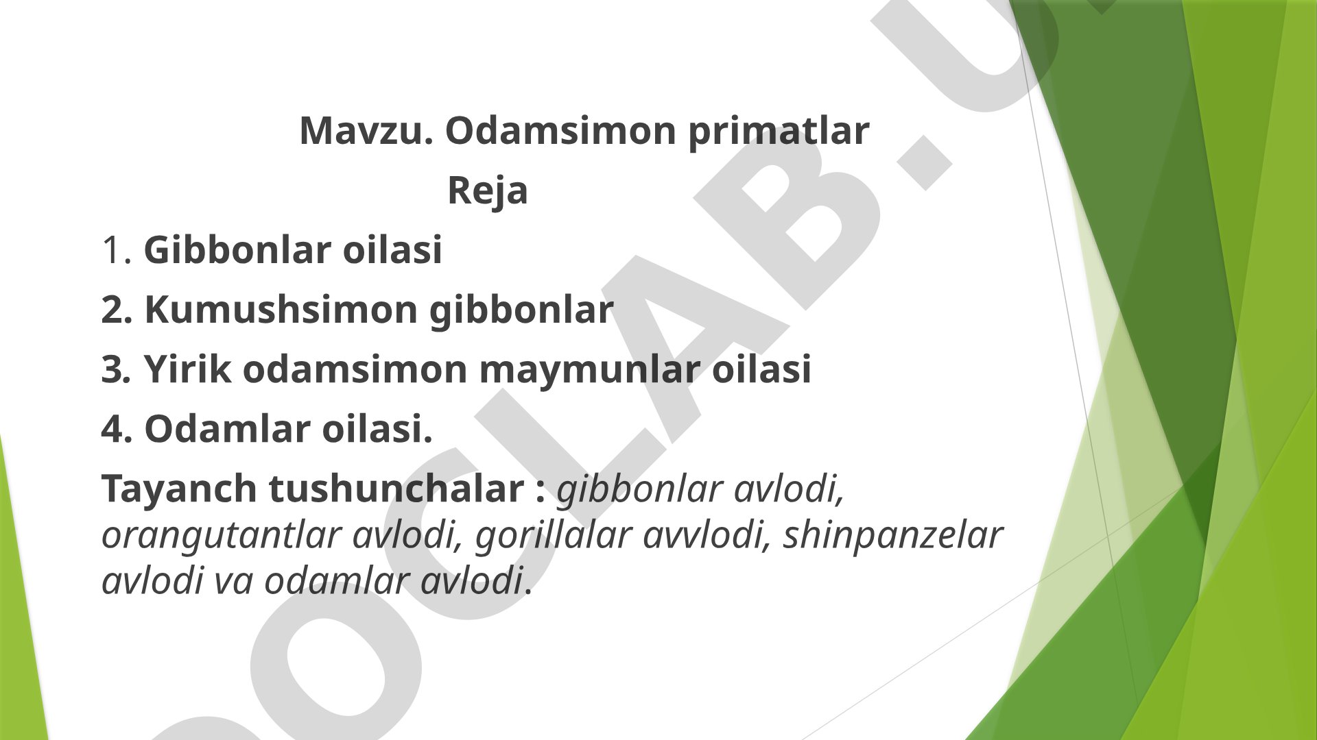 Odamsimon primatlar