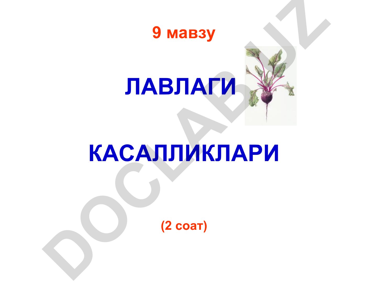 Лавлаги касалликлари ва ниҳоллар илдизи емирилиши
