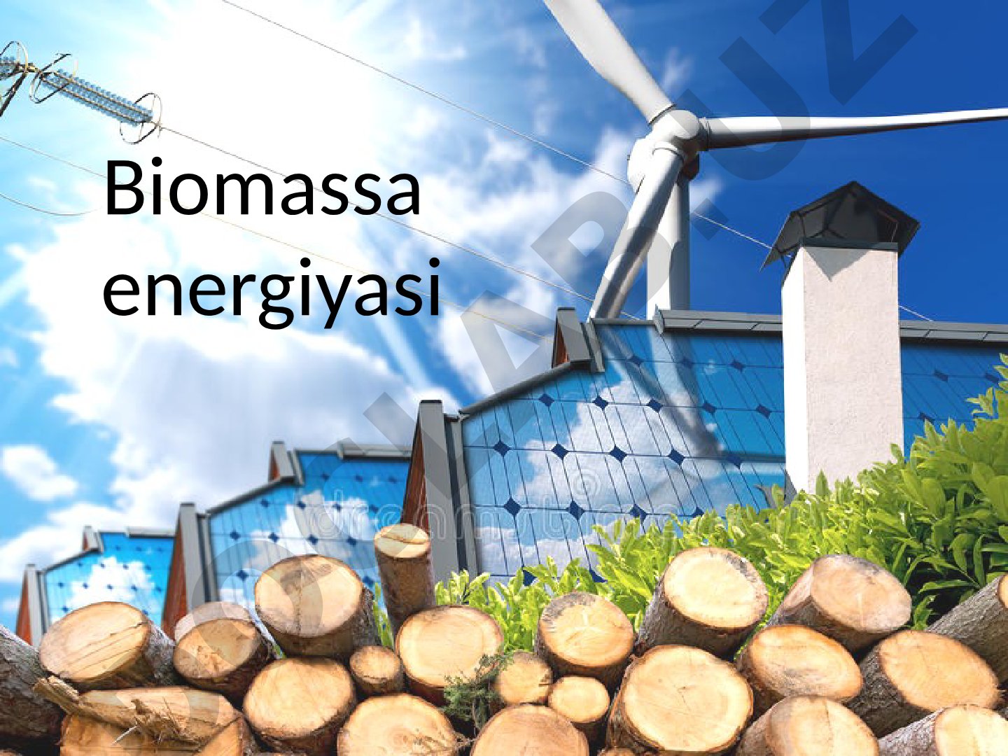 Biomassa energiyasi