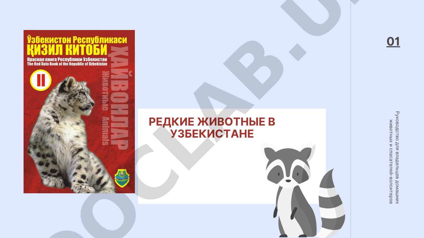 Редкие животные в Узбекистане и Красная книга
