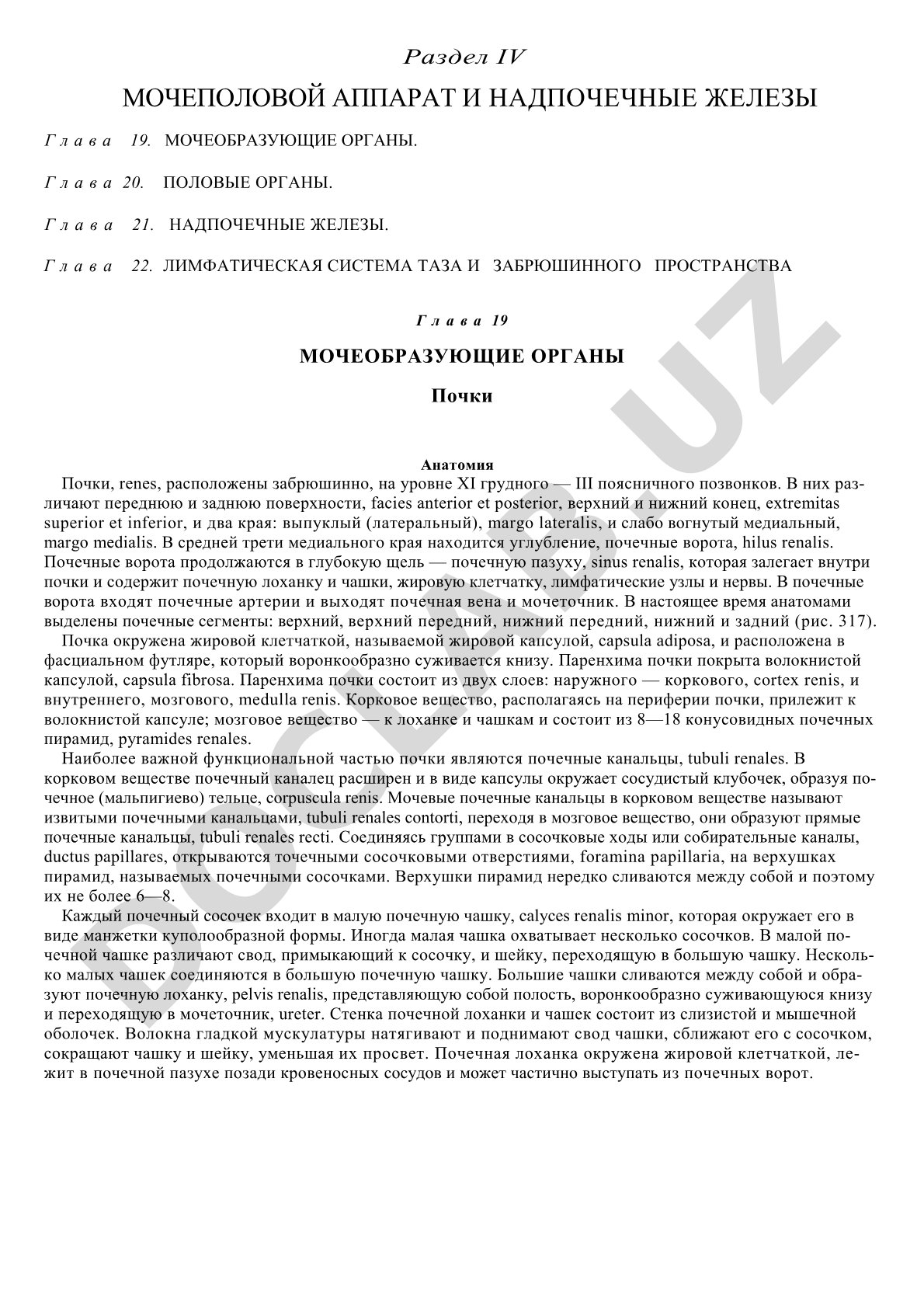 Анатомия почки: поверхности, края, ворота, синус, капсула