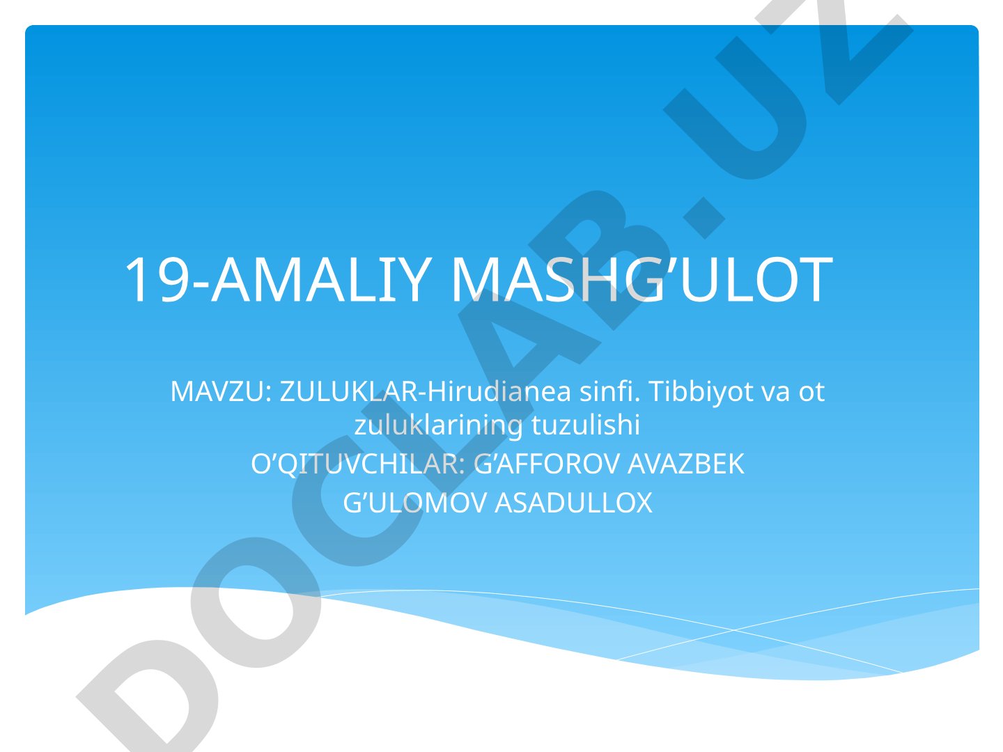 ZULUKLAR-Hirudianea sinfi. Tibbiyot va ot zuluklarining tuzulishi