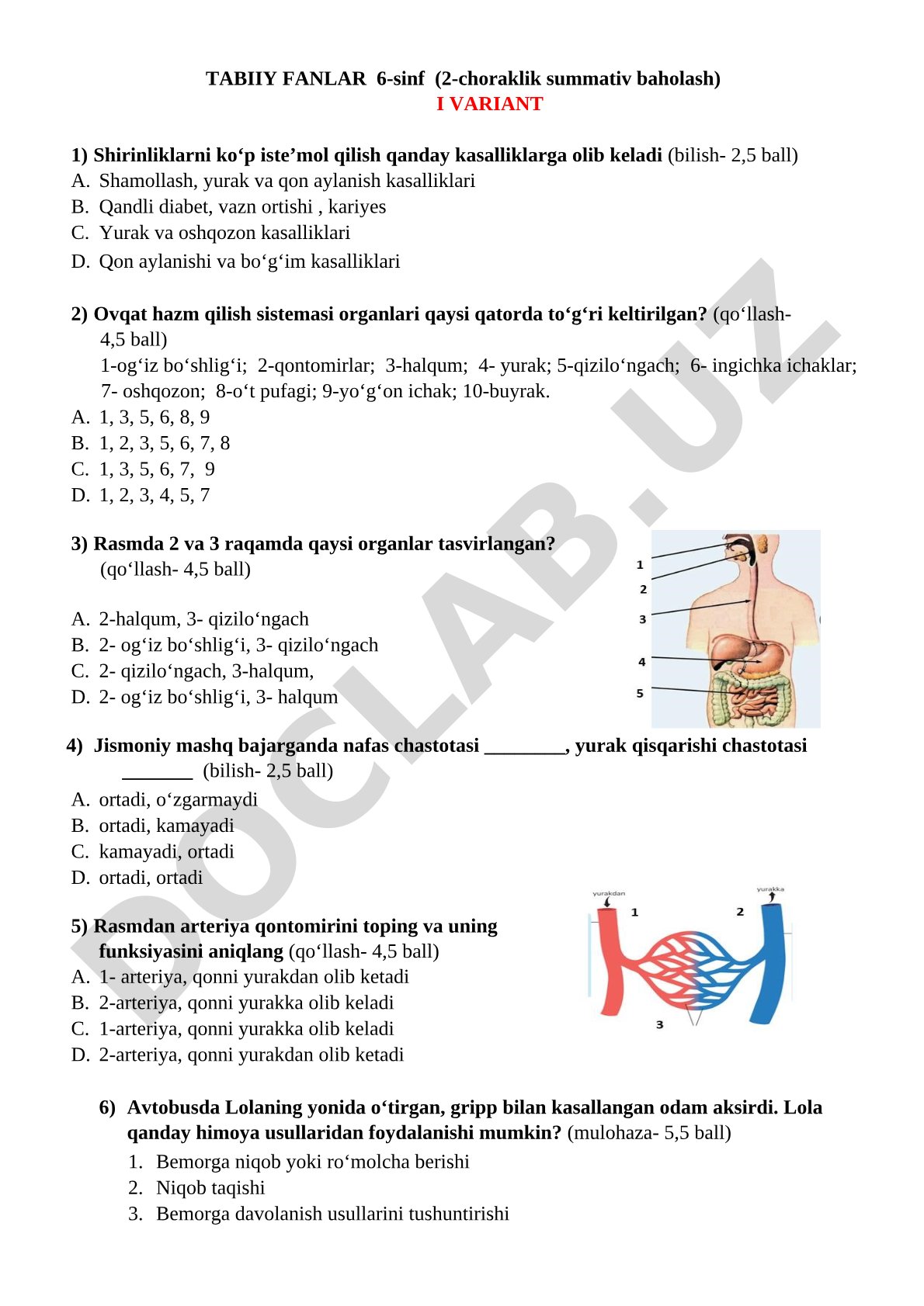 Tabiiy fanlar 6-sinf 2-chorak summativ baholash