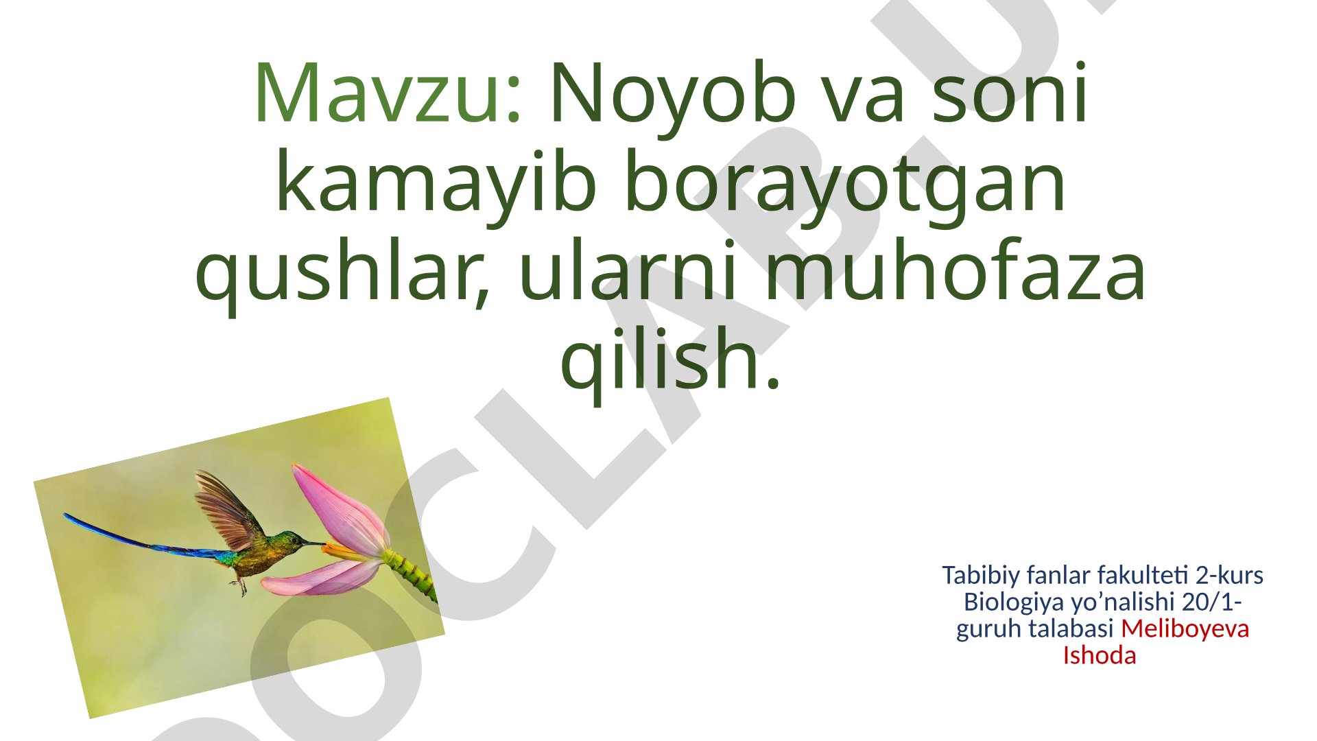 Noyob va soni kamayib borayotgan qushlar, ularni muhofaza qilish.