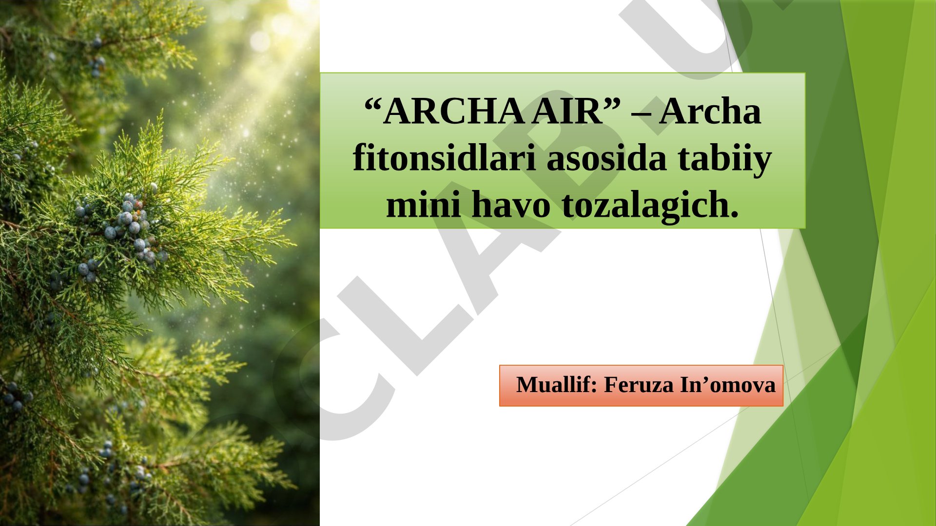 ARCHA AIR – Archa fitonsidlari asosida tabiiy mini havo tozalagich