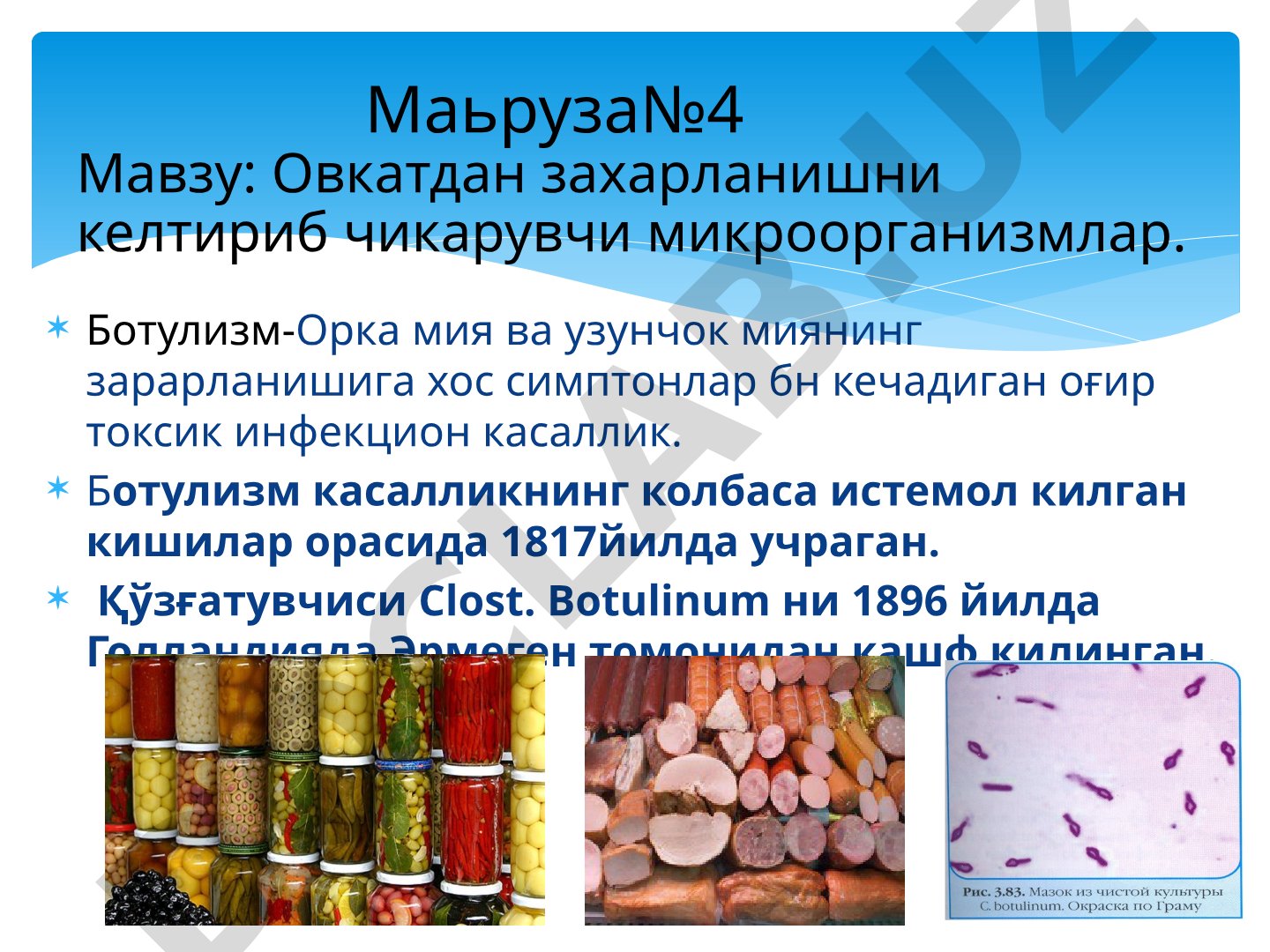 Овкатдан захарланишни келтириб чикарувчи микроорганизмлар