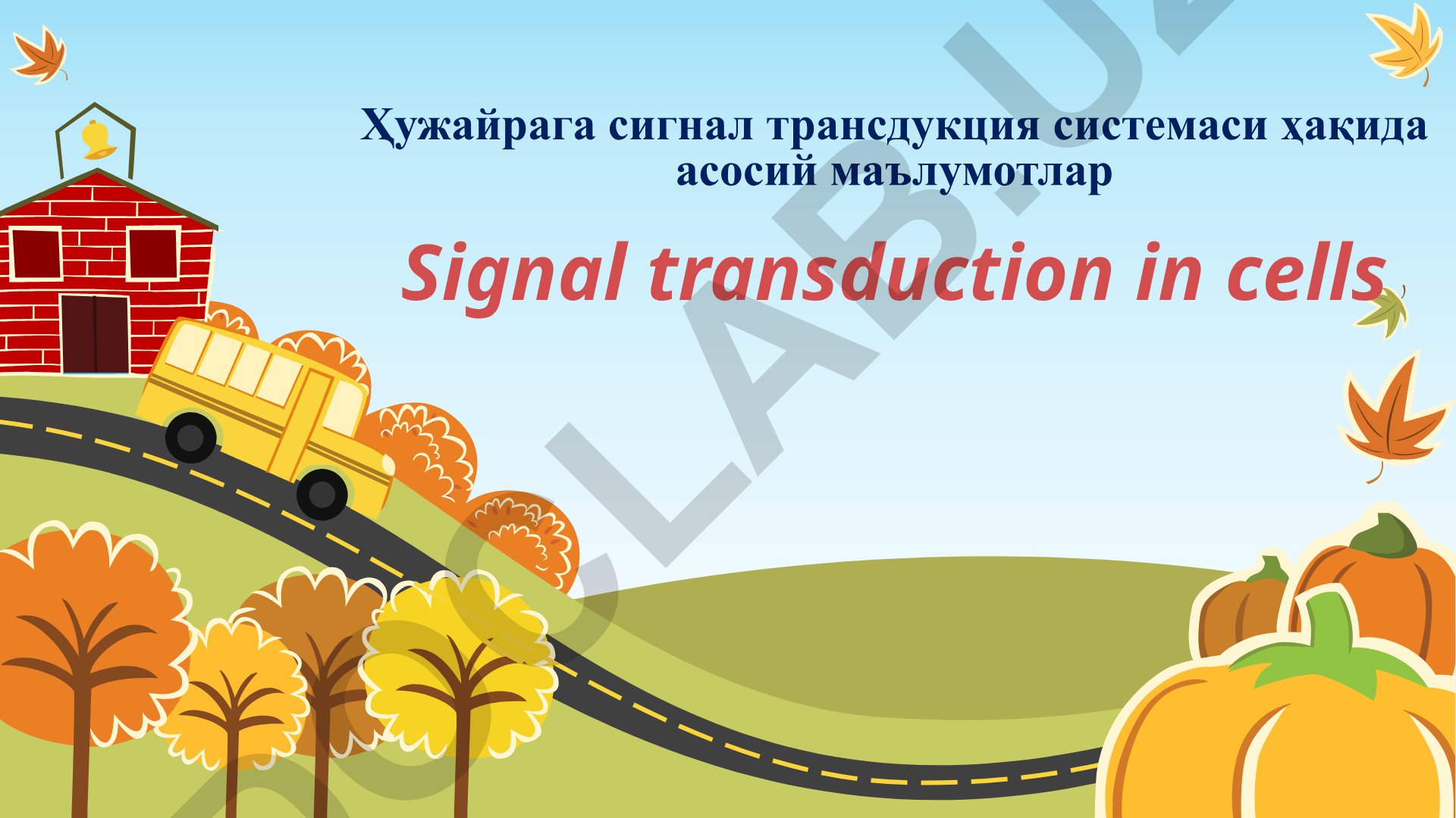 Ҳужайра сигнал трансдукция системаси ва унинг механизмлари