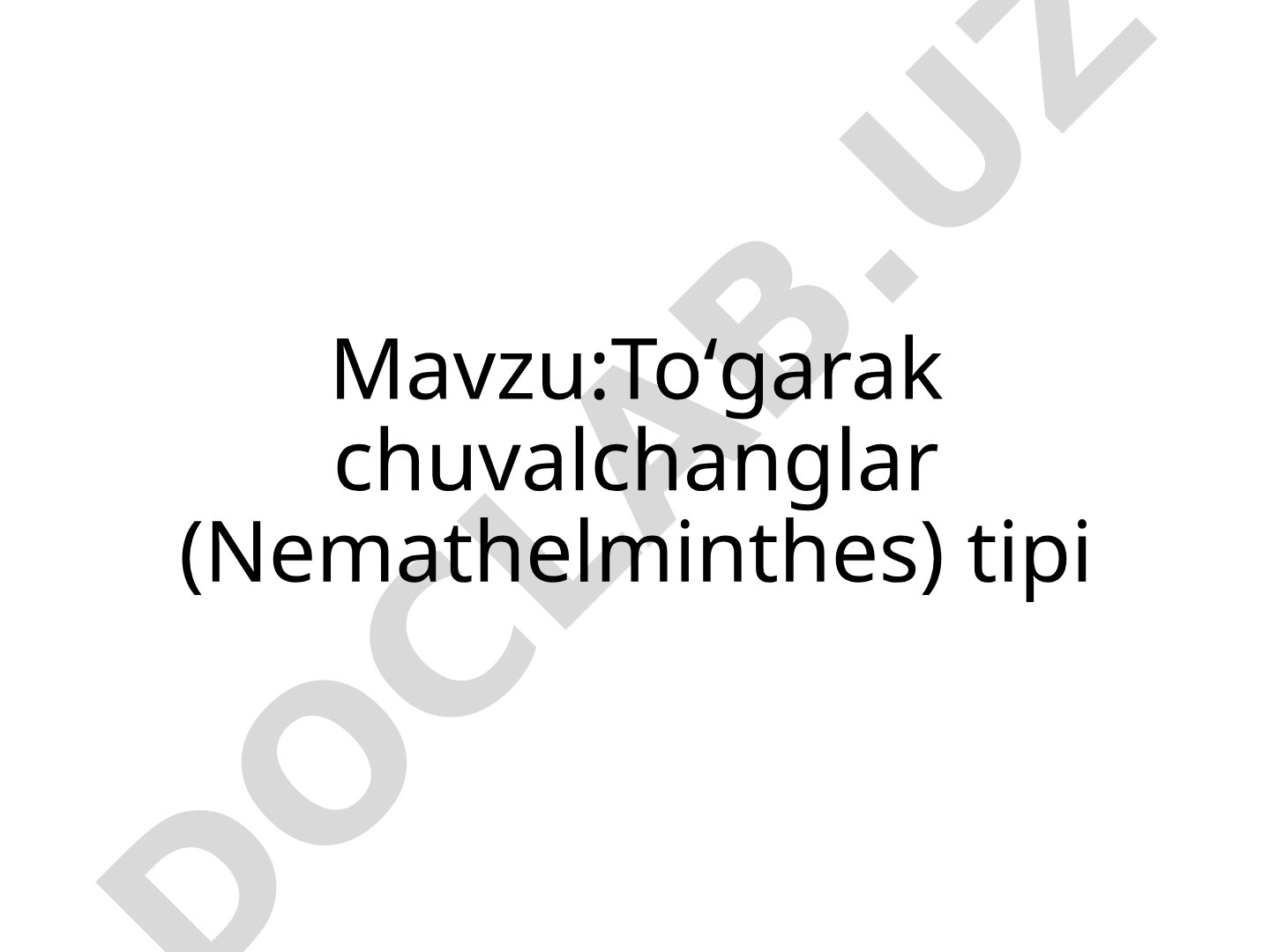 Toʻgarak chuvalchanglar (Nemathelminthes) tipi