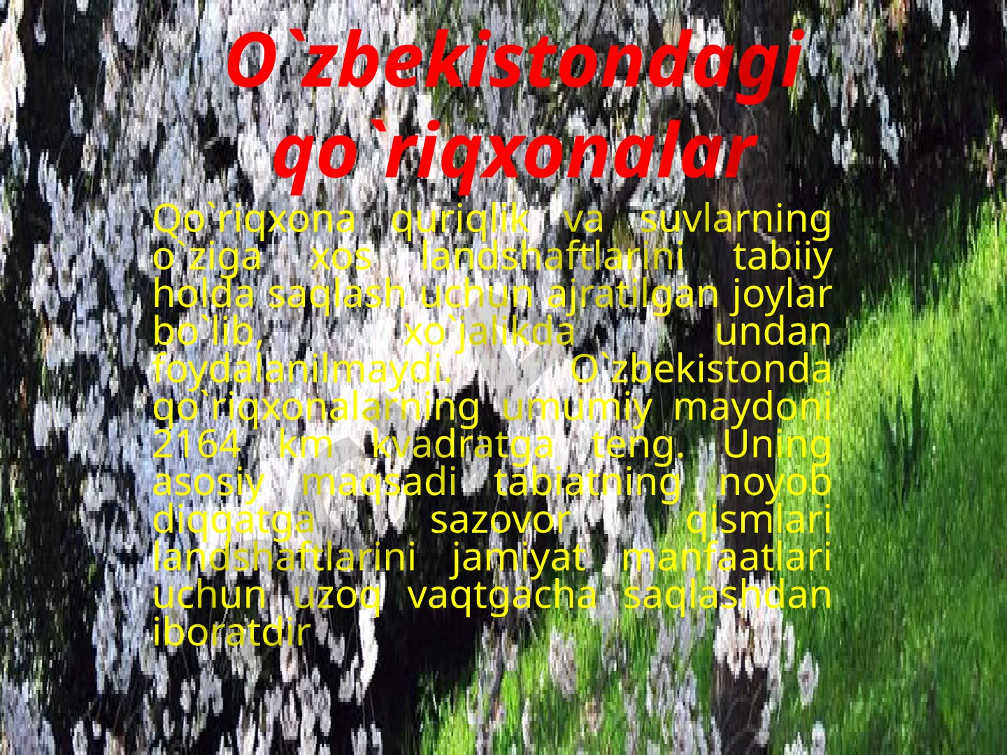 O'zbekistondagi qo'riqxonalar va ularning tashkil etish prinsiplari