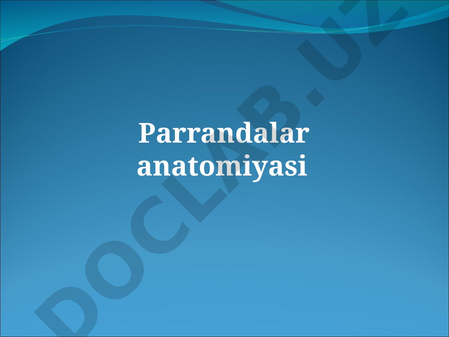 Parrandalar anatomiyasi, organ tizimlari va sut emizuvchilardan farqlar