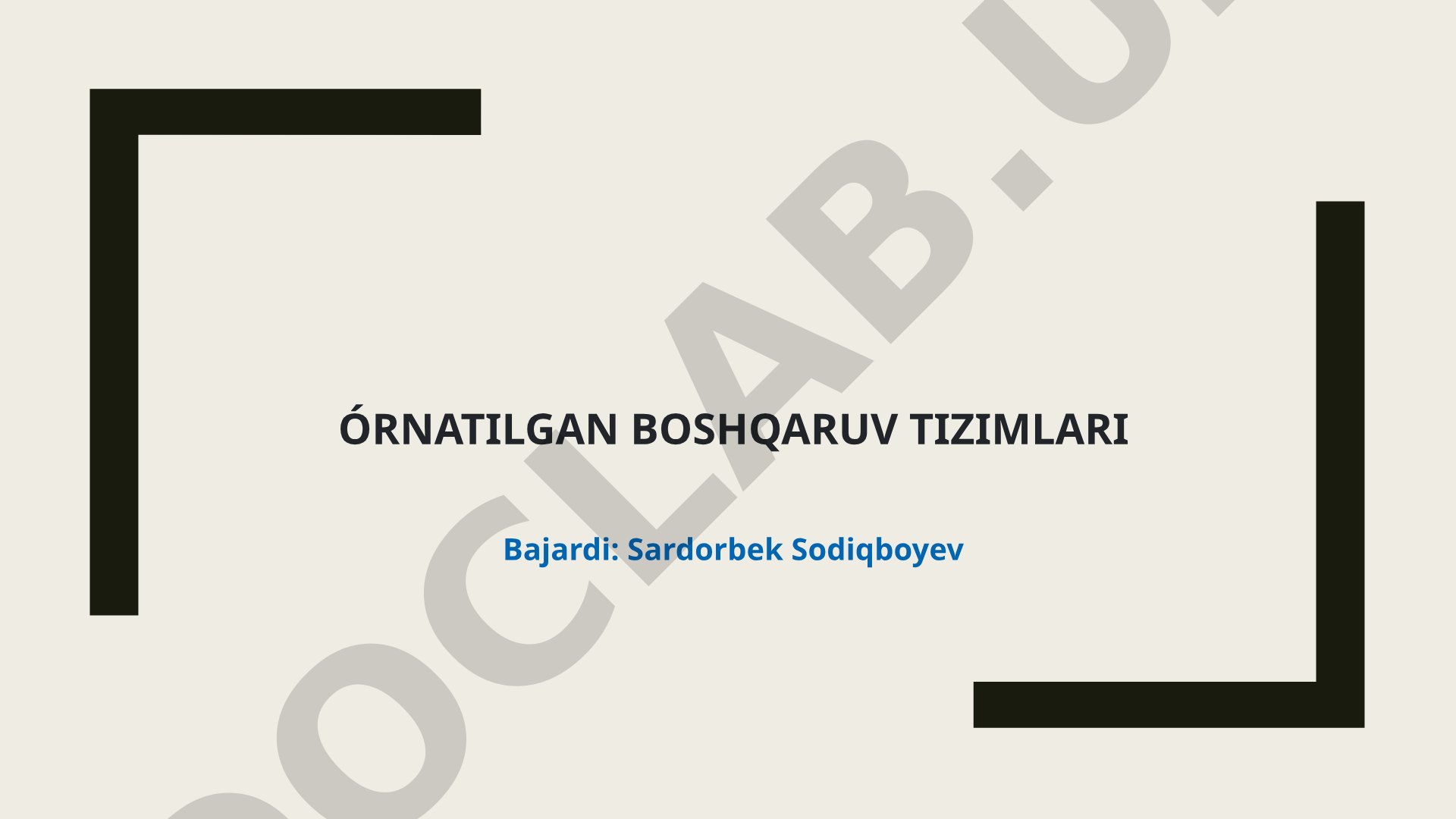Órnatilgan boshqaruv tizimlari