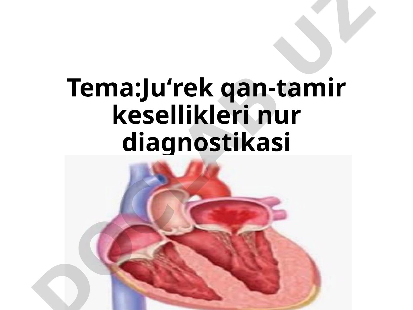 Ju‘rek qan-tamir kesellikleri nur diagnostikasi