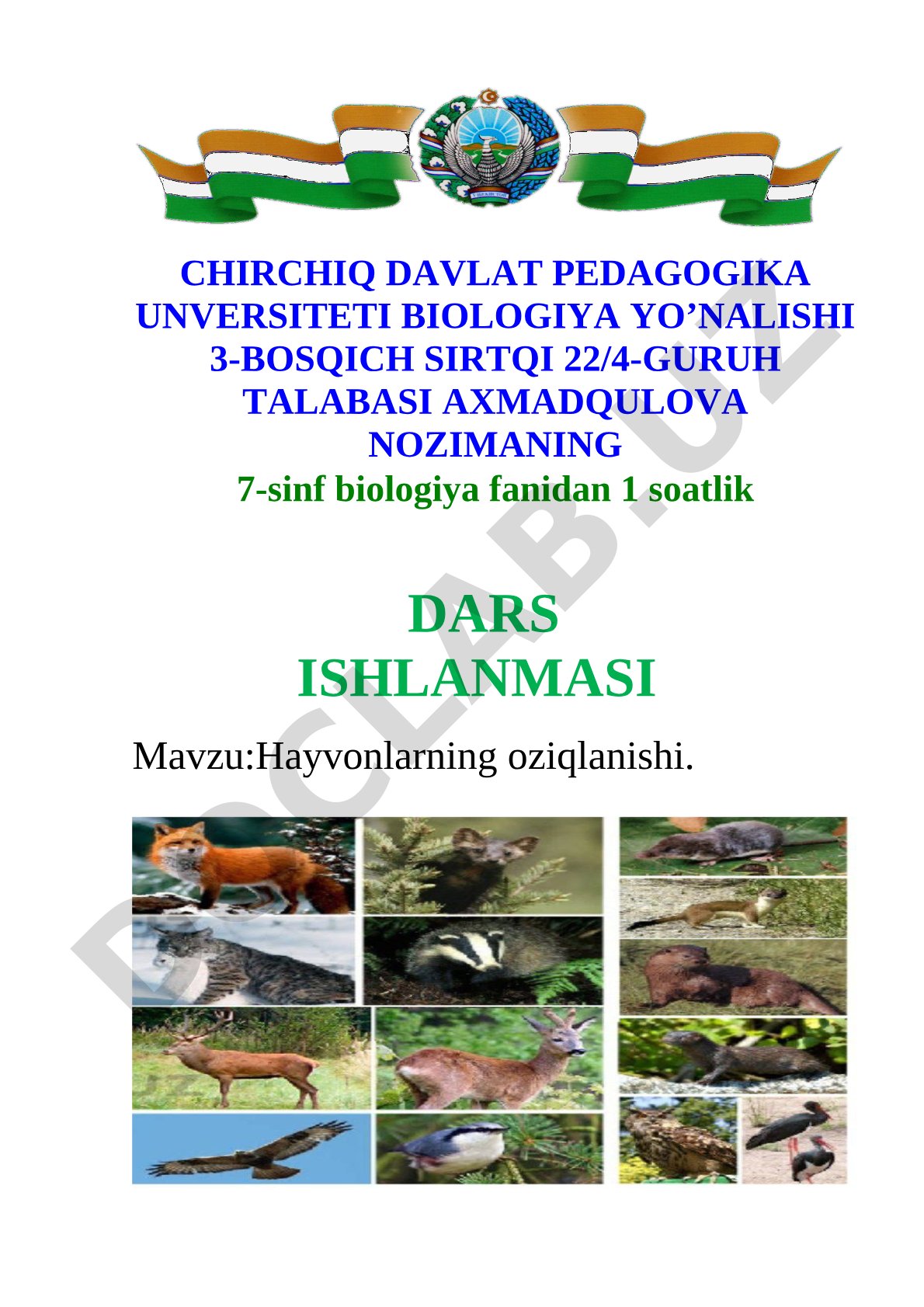 Qon aylanish sistemasi