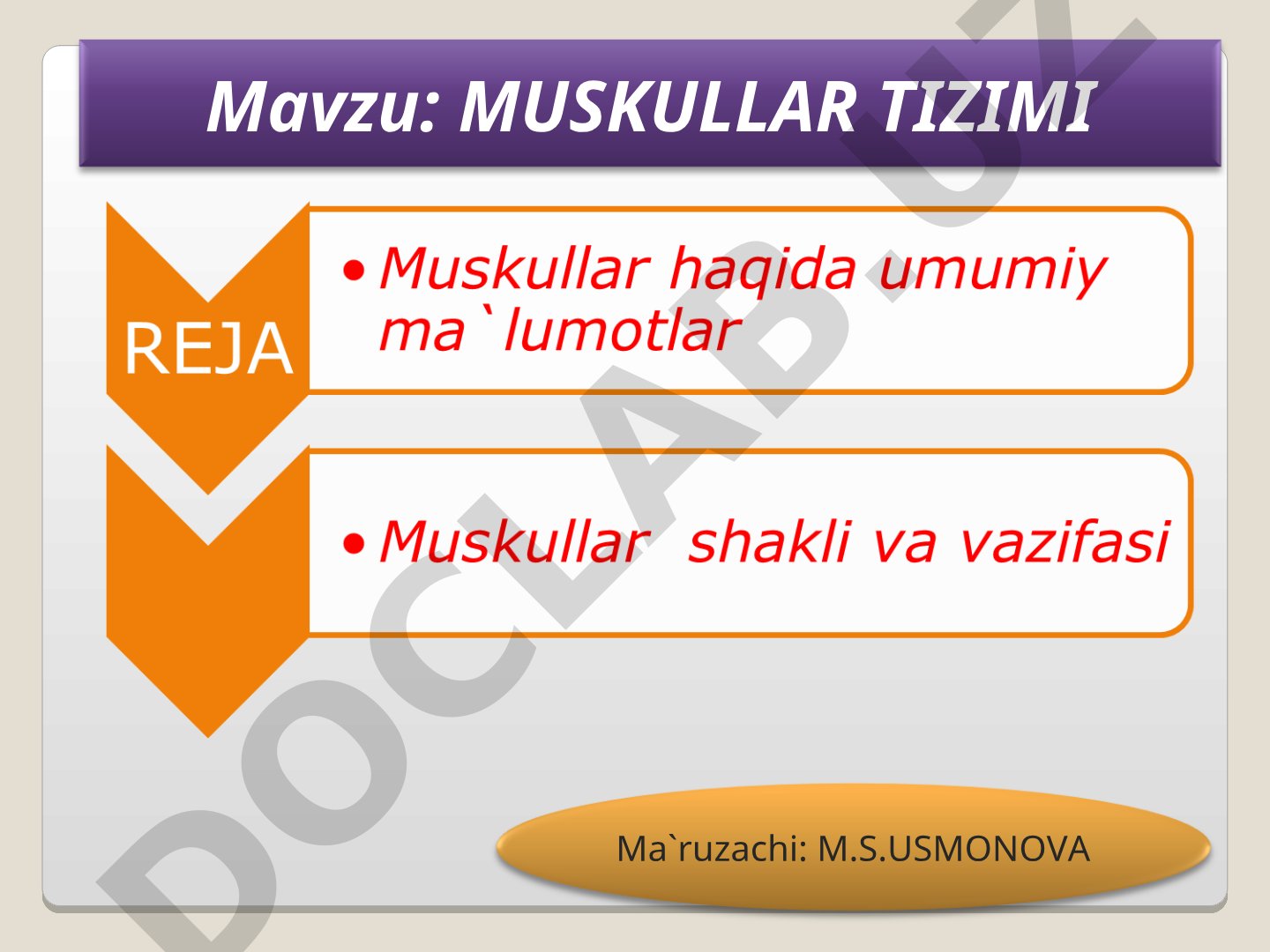 Muskullar tizimi