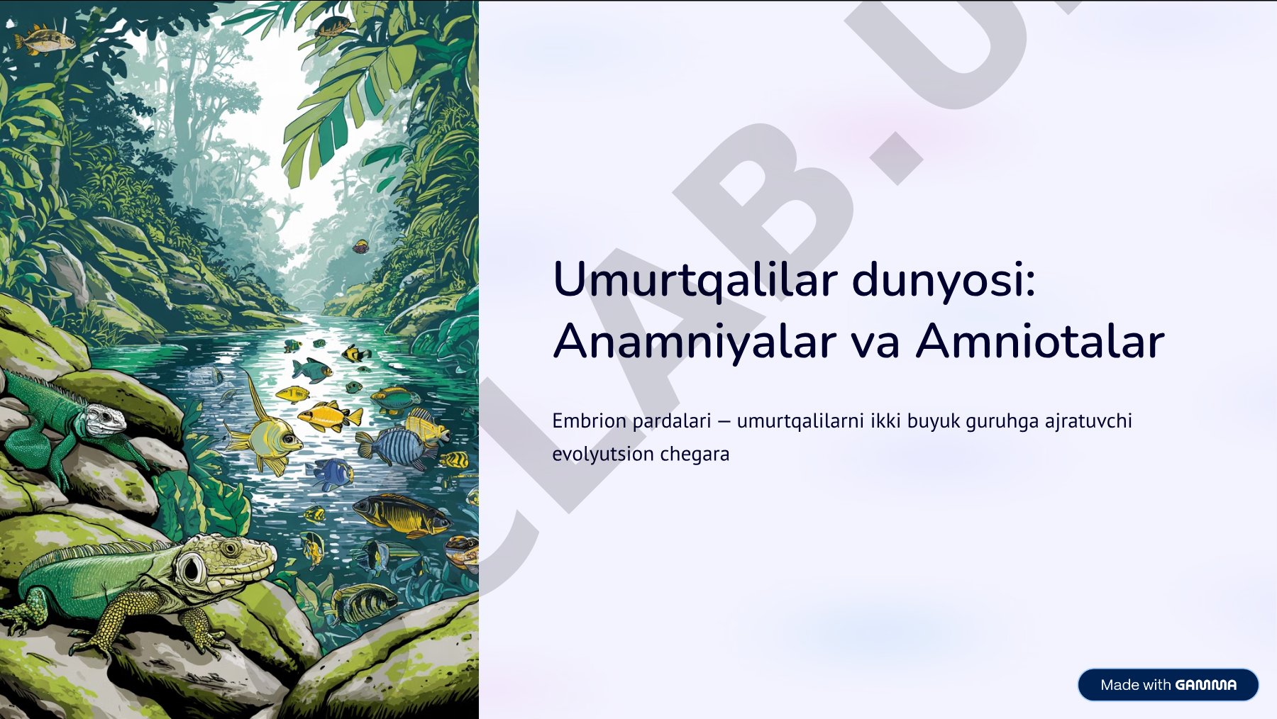 Umurtqalilar dunyosi: Anamniyalar va Amniotalar
