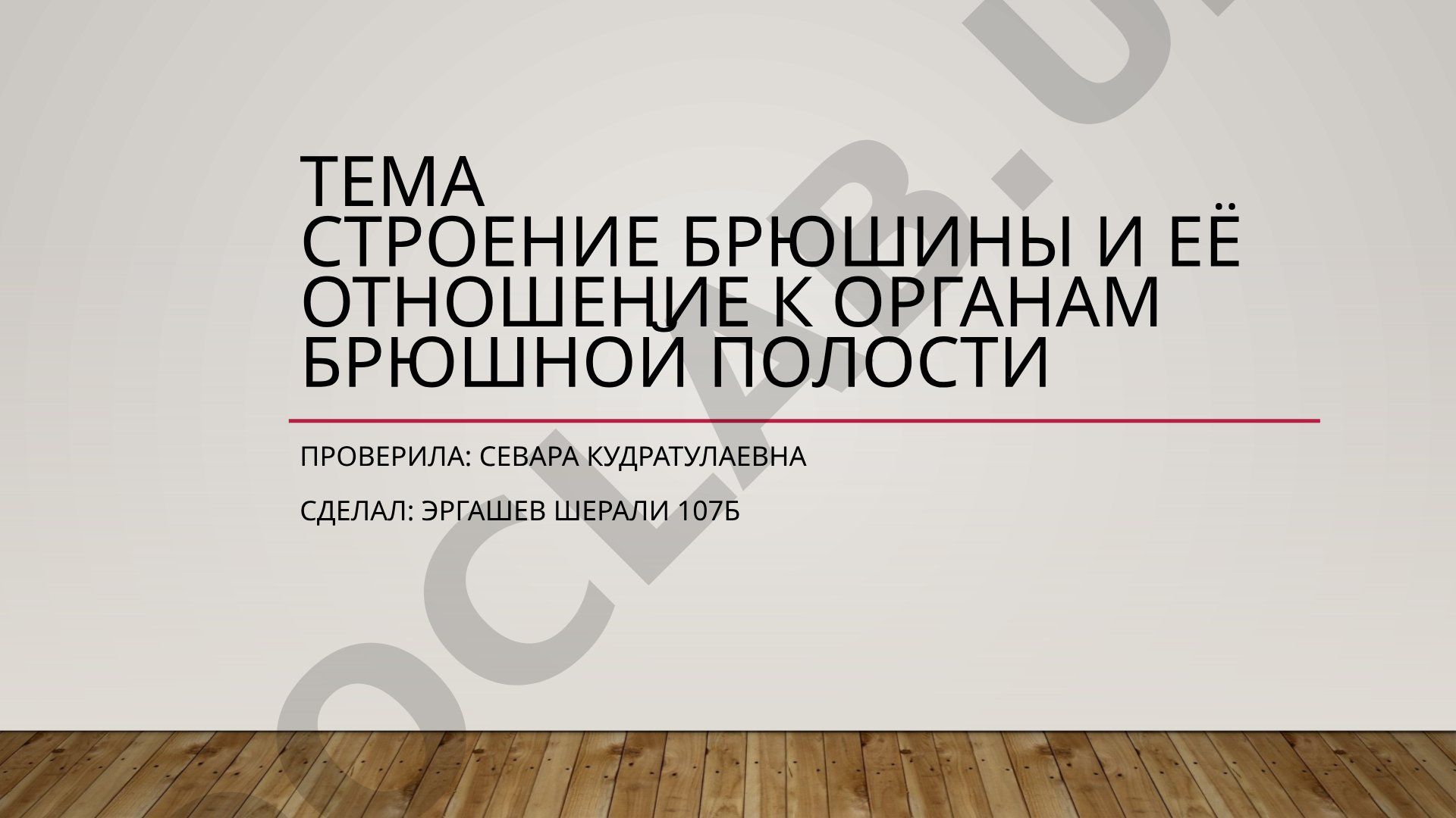 Строение брюшины и её отношение к органам брюшной полости