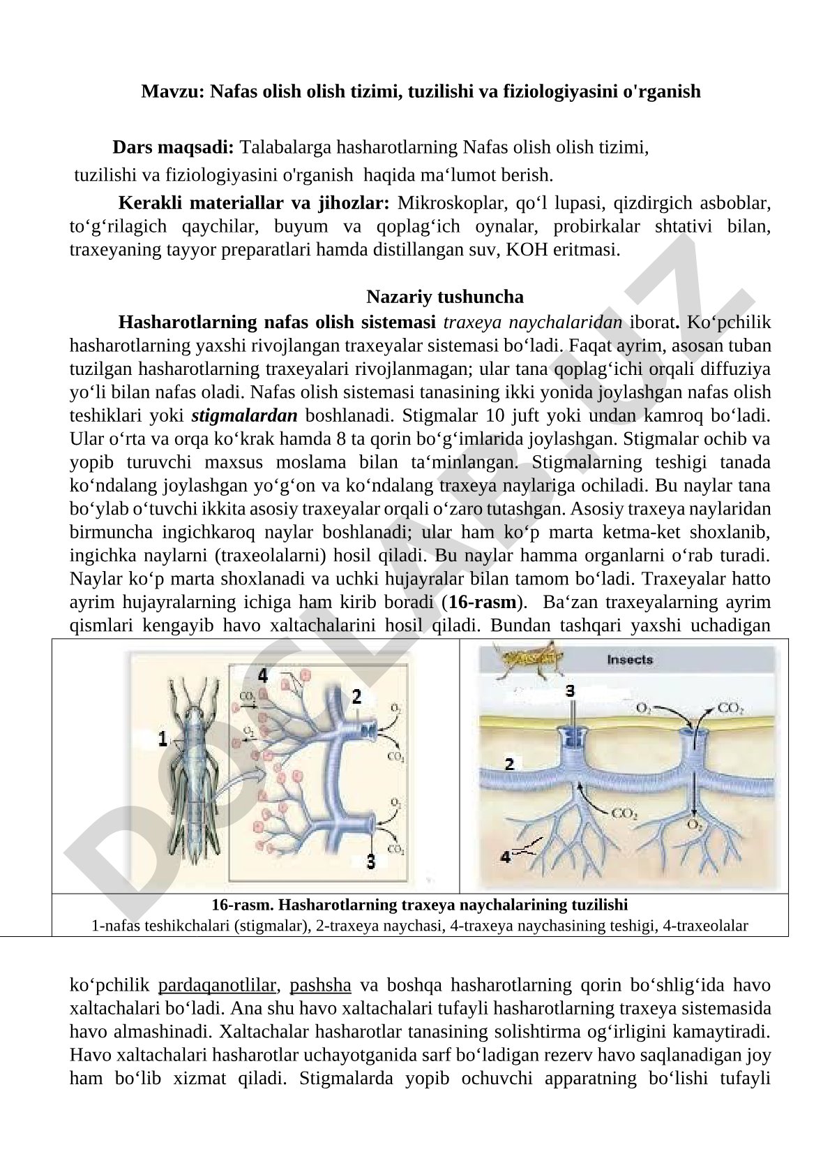 Nafas olish olish tizimi, tuzilishi va fiziologiyasini o'rganish
