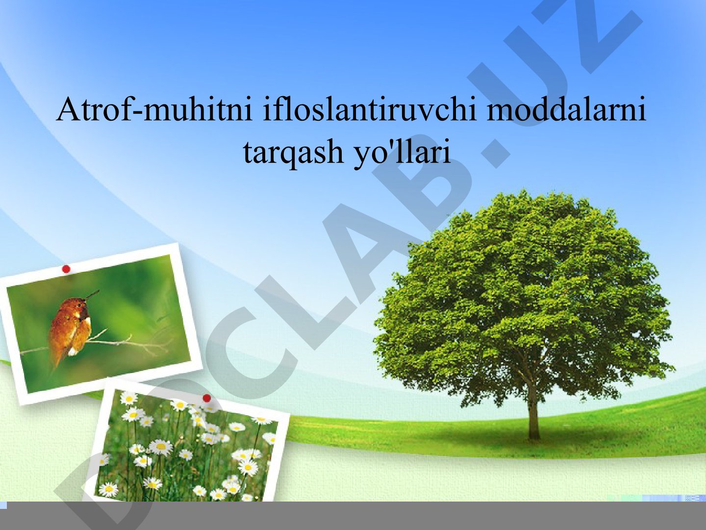 Atrof-muhitni ifloslantiruvchi moddalarni tarqash yo'llari