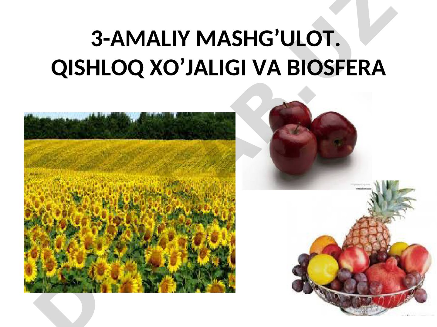 Qishloq xo'jaligi va biosfera