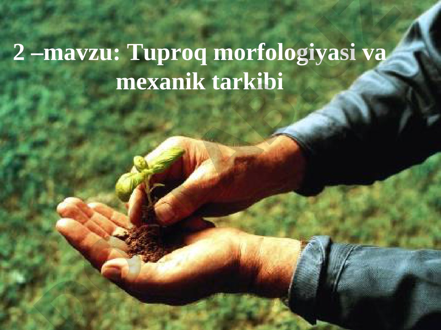 Tuproq morfologiyasi va mexanik tarkibi