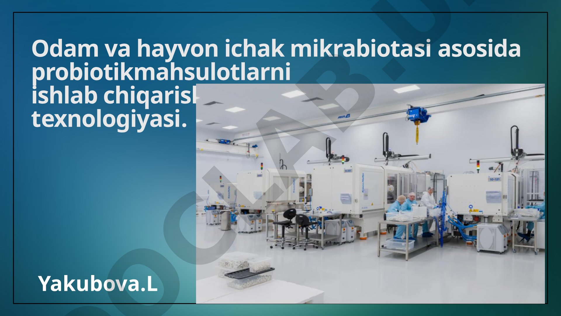 Odam va hayvon ichak mikrabiotasi asosida probiotikmahsulotlarni ishlab chiqarish texnologiyasi