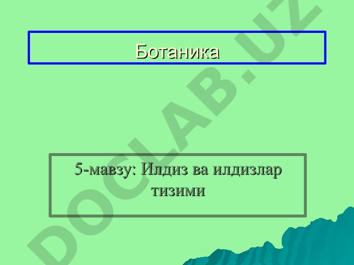 Ботаника 5-мавзу: Илдиз ва илдизлар тизими