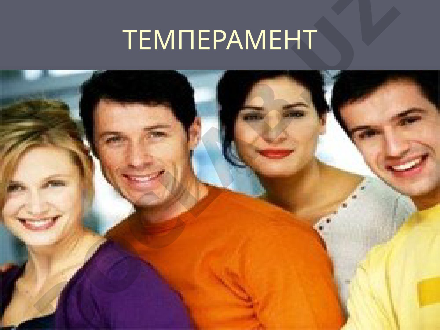 Темперамент
