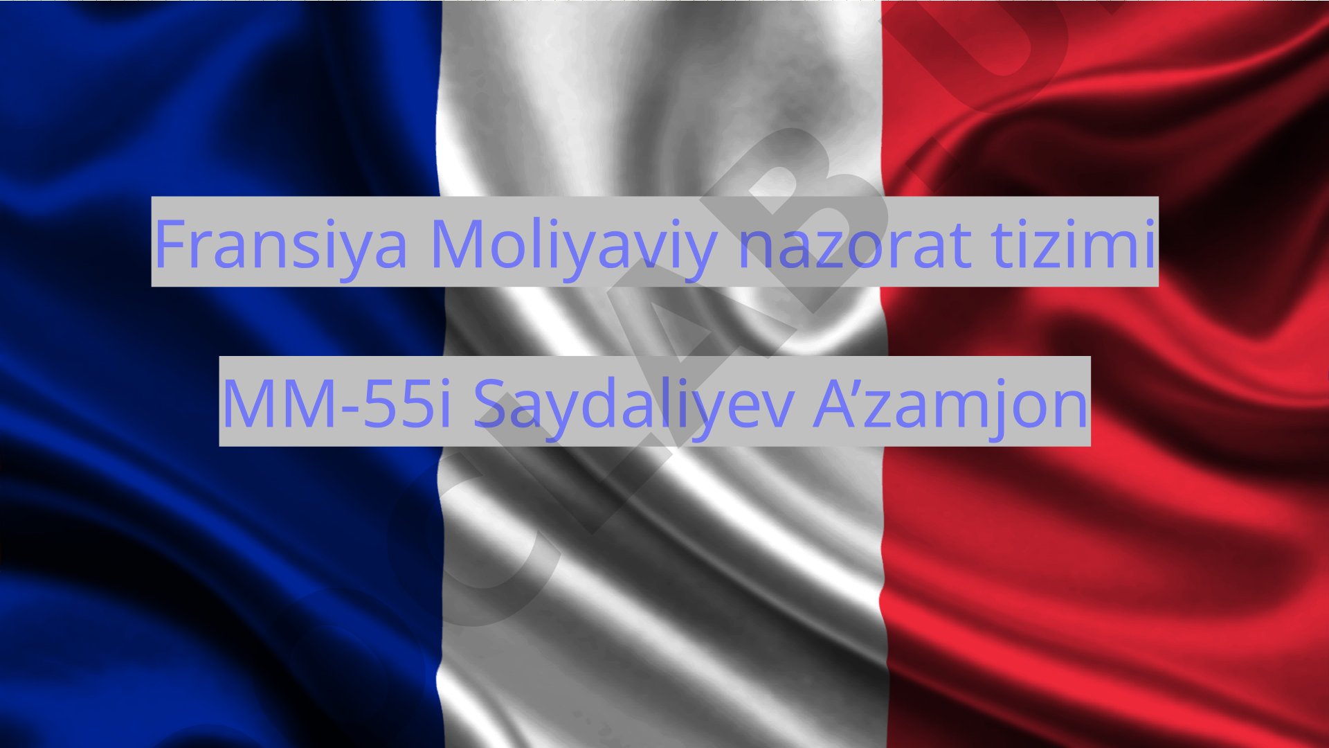 Fransiya budjet tizimi va moliyaviy nazorat haqida taqdimot