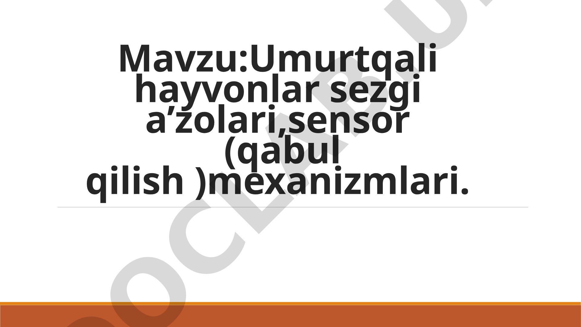 Umurtqali hayvonlar sezgi a’zolari,sensor (qabul qilish )mexanizmlari
