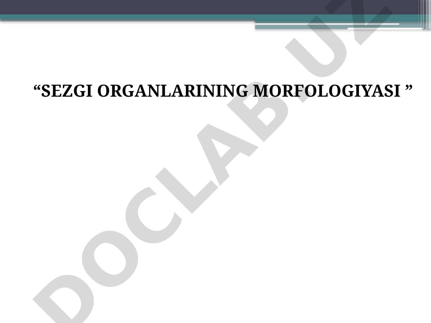 Sezgi organlarining tuzilishi, ko'rish va eshitish organlari morfologiyasi