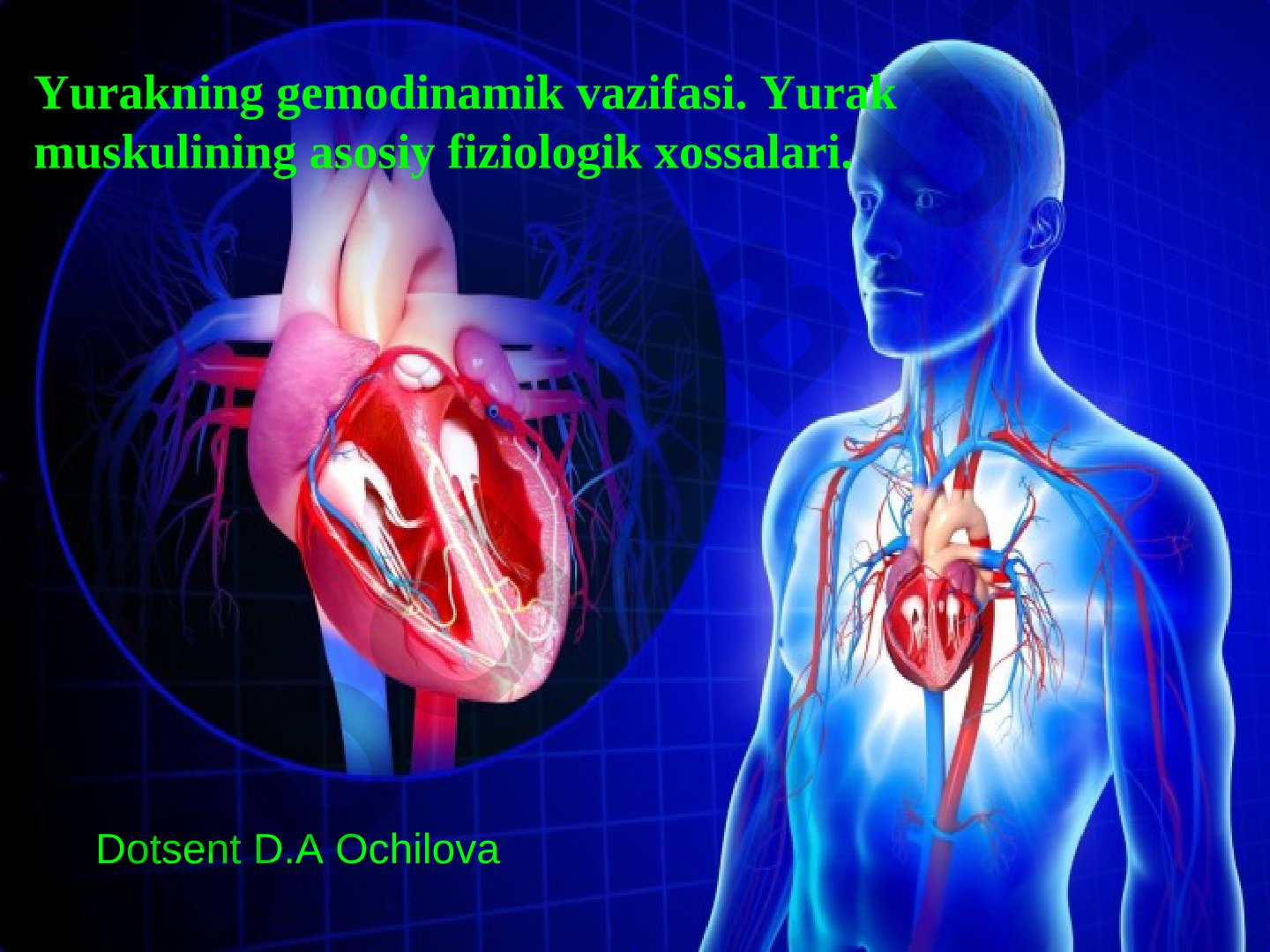Yurakning gemodinamik vazifasi. Yurak muskulining asosiy fiziologik xossalari.