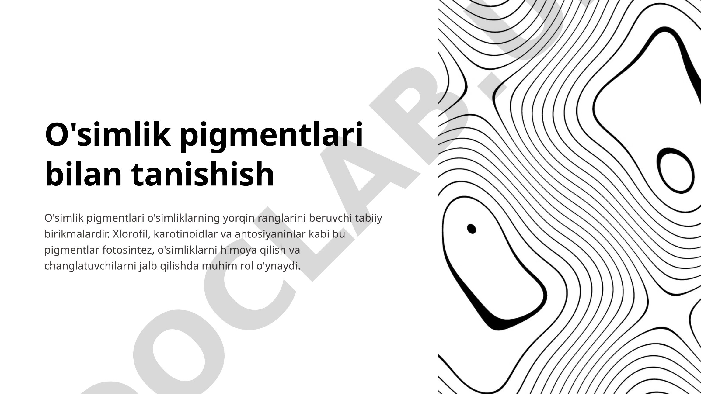 O'simlik pigmentlari bilan tanishish