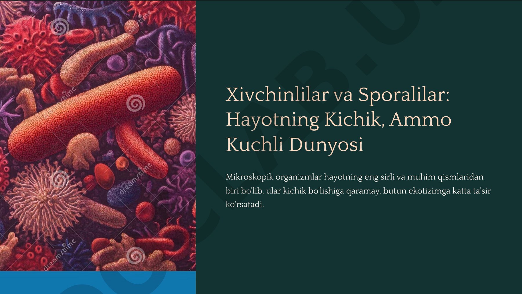 Xivchinlilar va Sporalilar: Hayotning Kichik, Ammo Kuchli Dunyosi