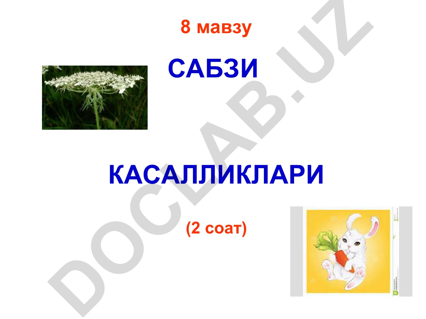 Сабзи касалликлари: ун-шудринг ва бошқа касалликлар