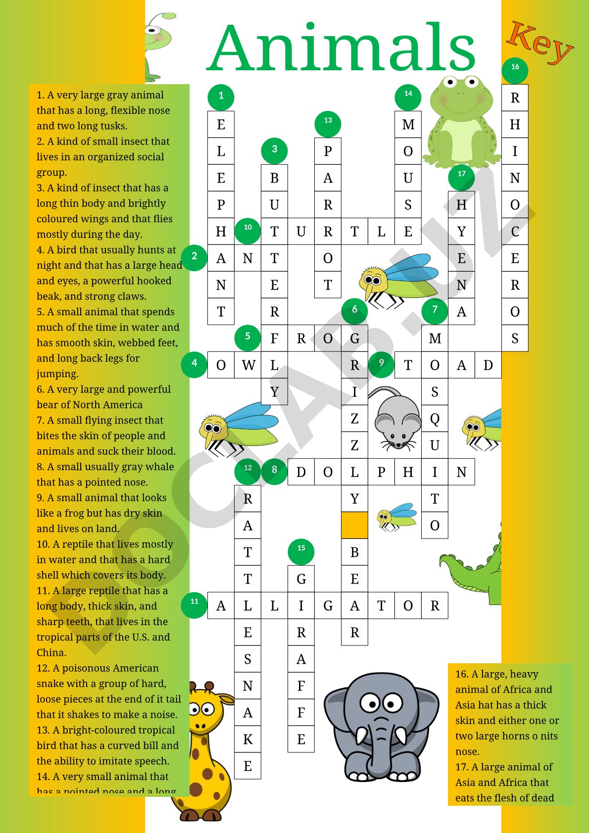 Animal Vocabulary Definitions