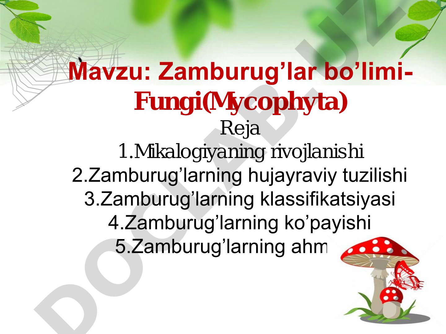 Zamburug’lar bo’limi- Fungi(Mycophyta)