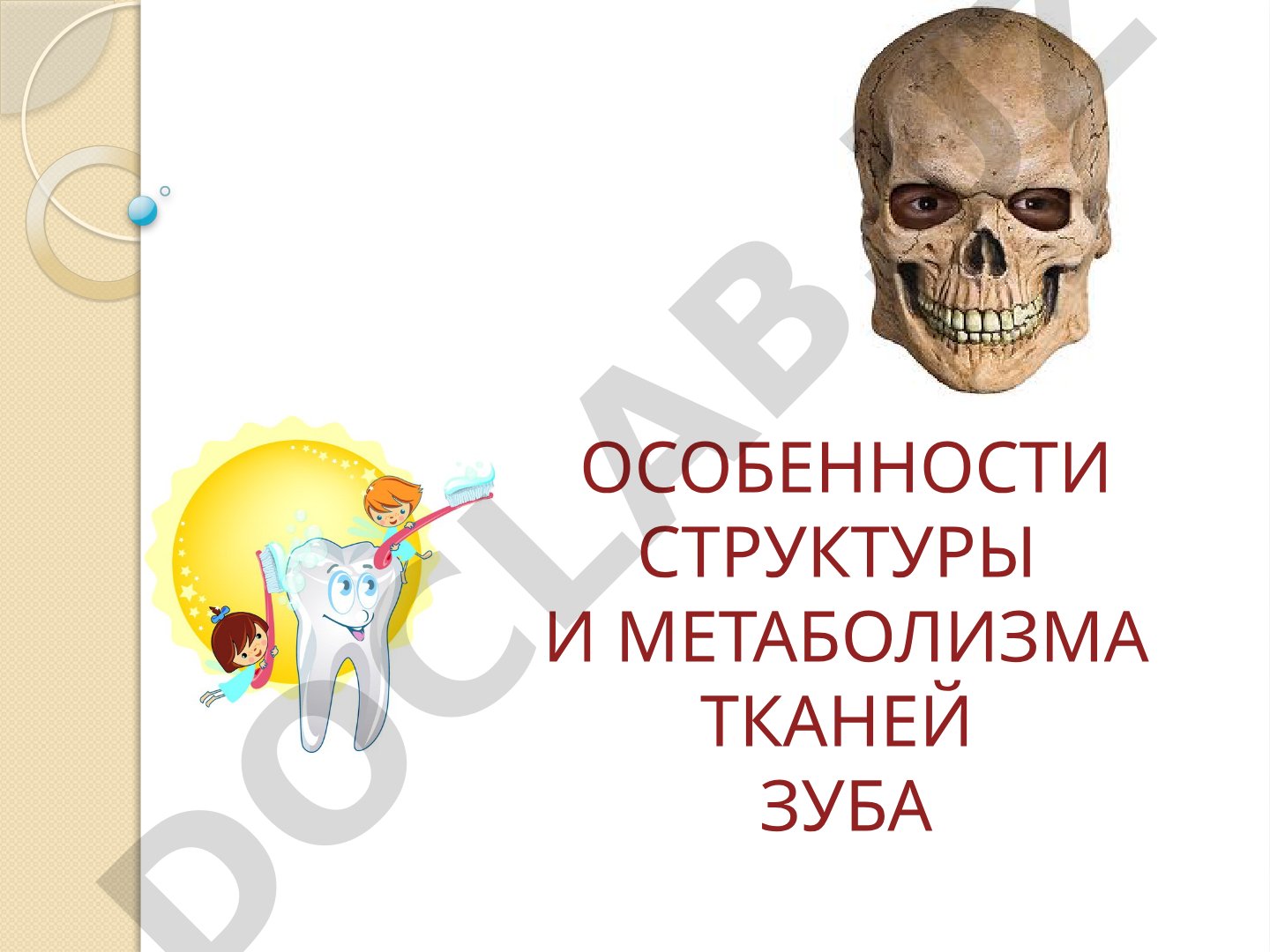 Особенности структуры и метаболизма тканей зуба