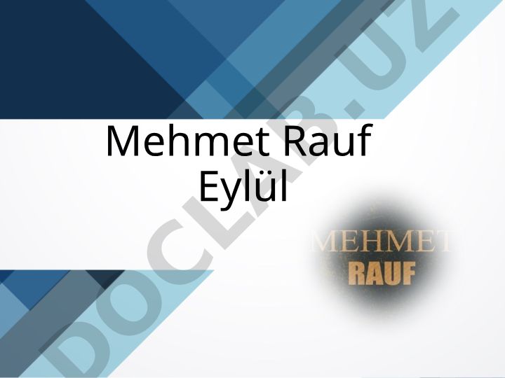 Mehmet Rauf'un Hayatı, Yazı Hayatı ve Eylül Romanı