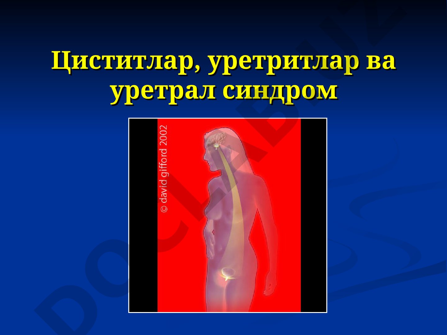 Циститлар, уретритлар ва уретрал синдром