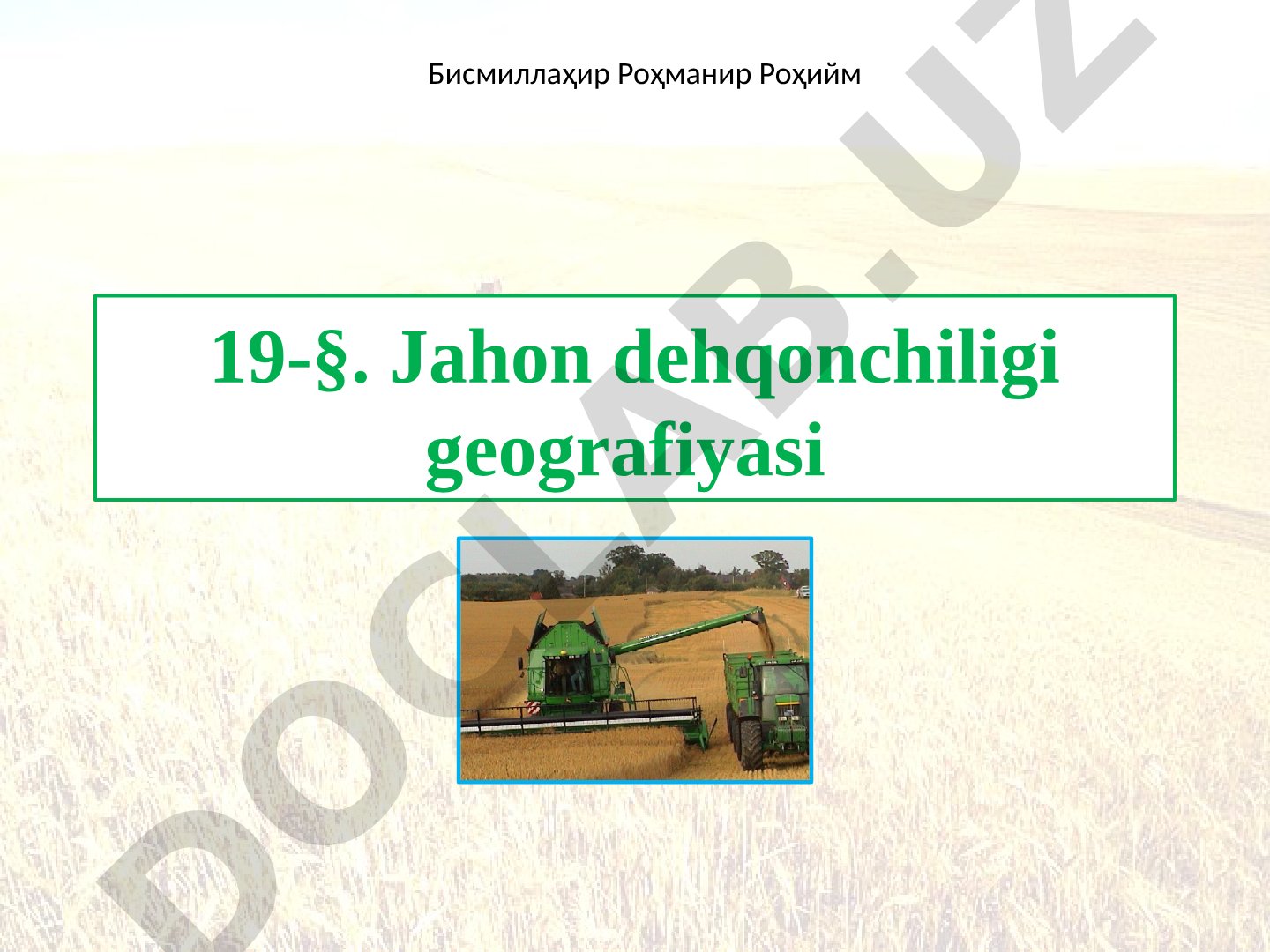Qishloq xo‘jaligi tarmoqlari, donli, moyli va texnik ekinlar geografiyasi yoritilgan