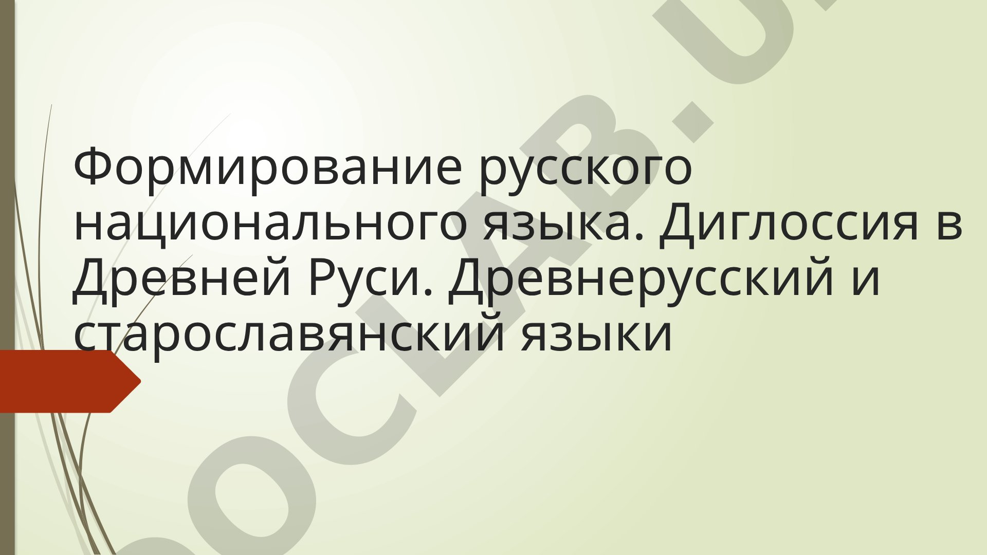 Формирование русского национального языка. Диглоссия в Древней Руси