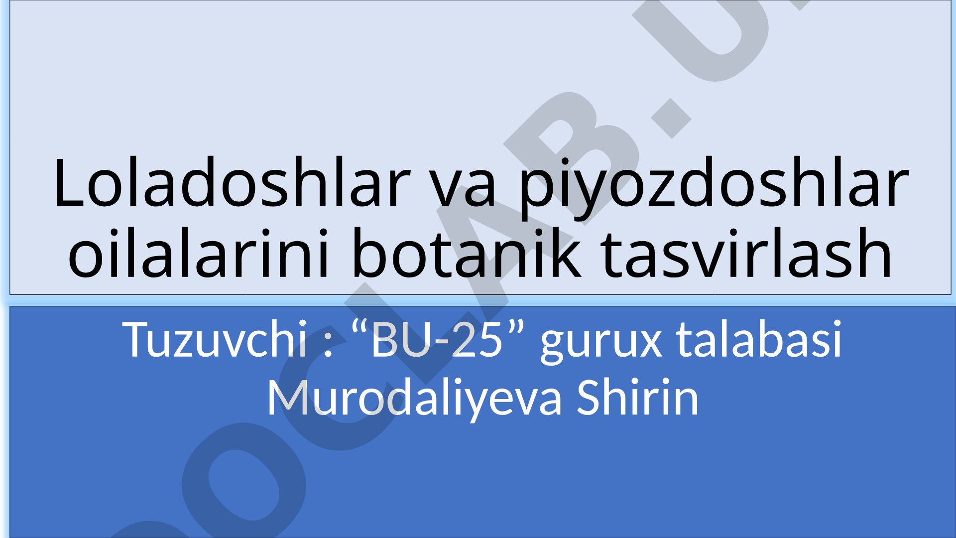 Loladoshlar va piyozdoshlar oilalarini botanik tasvirlash